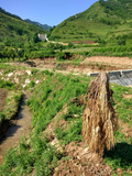 石砭峪灌区坝后灌溉渠道改造项目